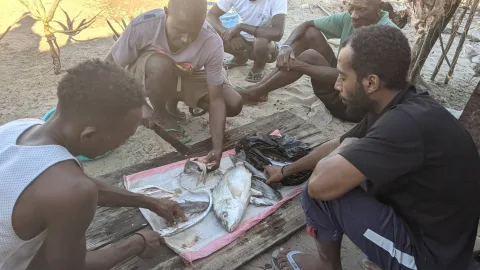 Transformation artisanale des produits de la mer par les coopératives