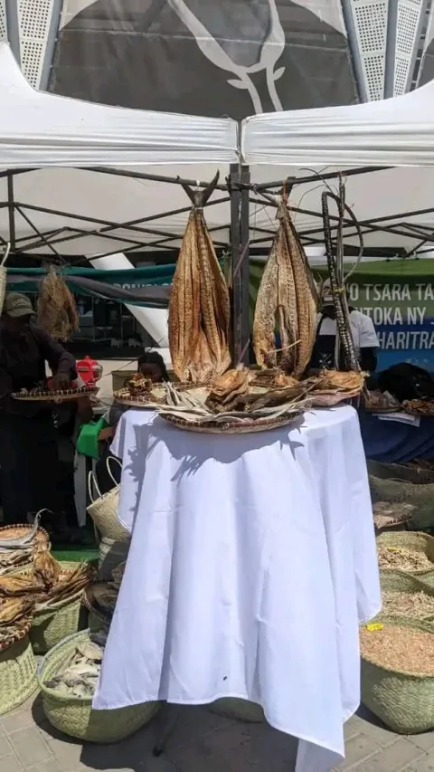 Pêche durable à Madagascar : coopérative lors d’une foire aux produits halieutiques